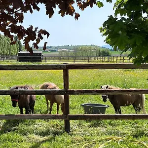 le-petit-villeneuve-les-cerfs.hotels-rhonealpes.com/